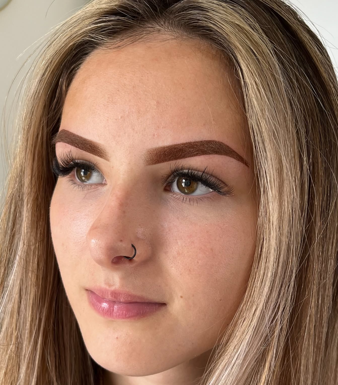 Ombré powder brows with a misty finish